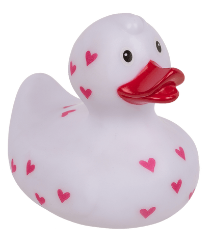 Canard Amoureux – vue 5