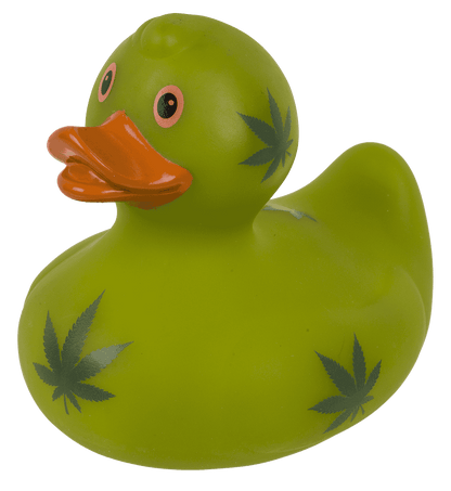 Canard Cannabis – vue 5