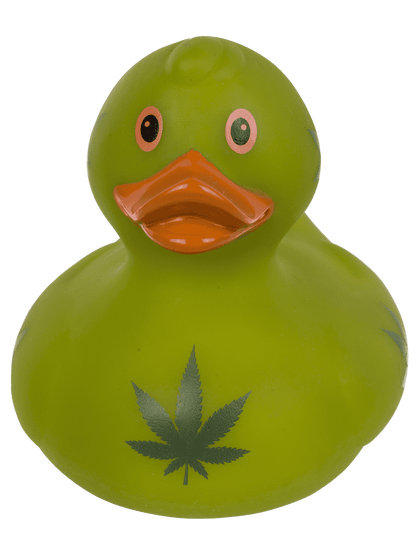 Canard Cannabis – vue 7