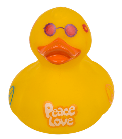 Canard Hippie – vue 6