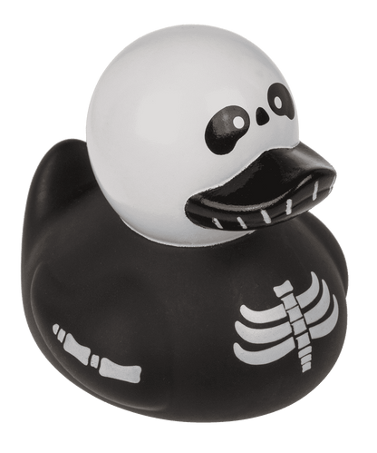 Canard Squelette – vue 14