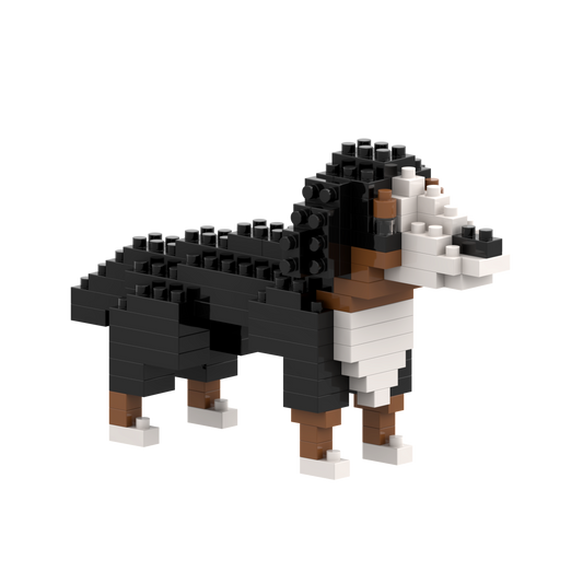 BRIXIES St. Bernard