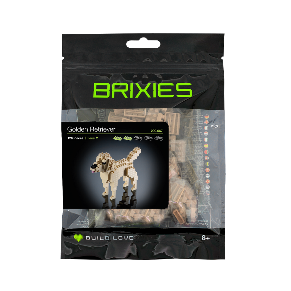 BRIXIES Golden Retriever