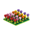 BRIXIES Tulip Field