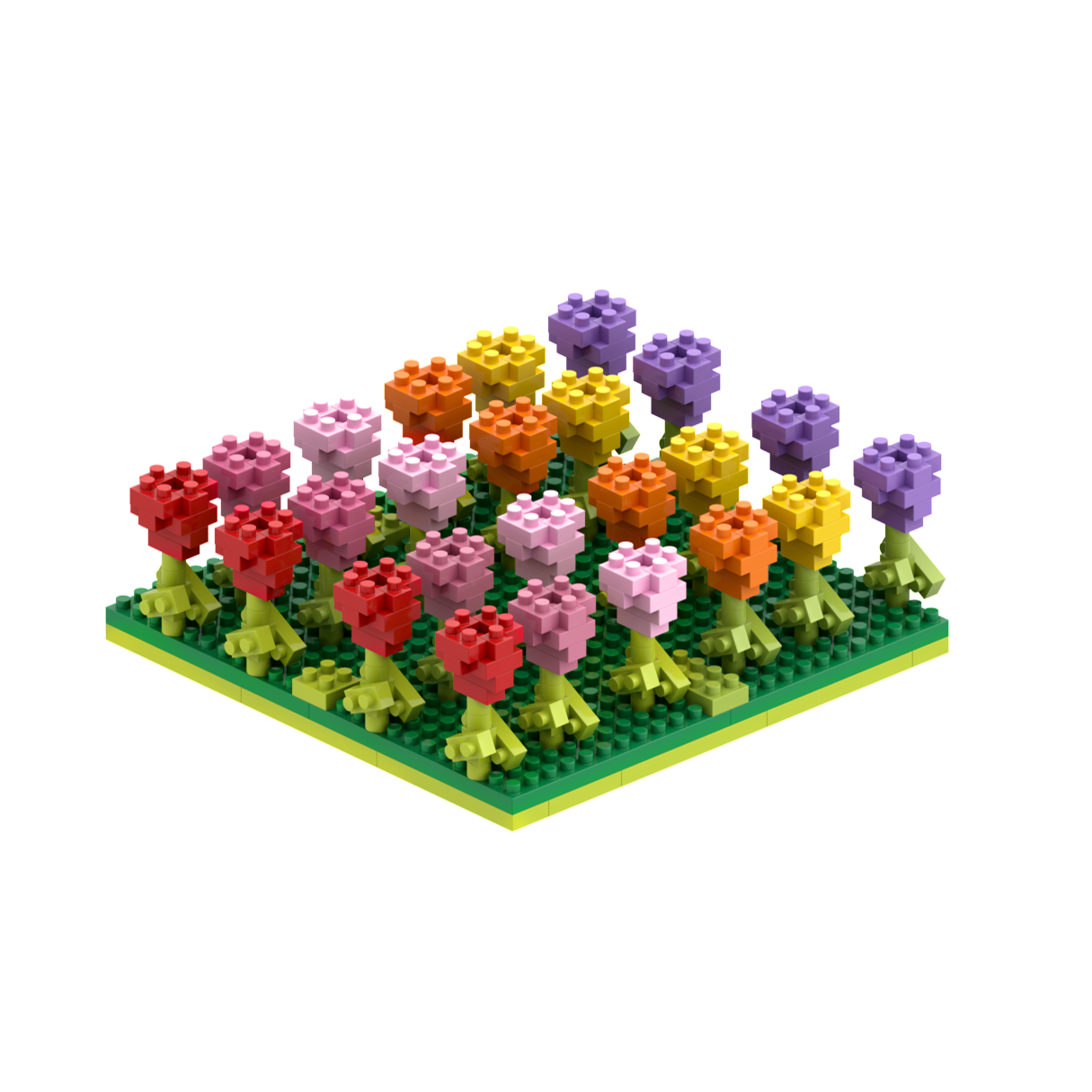 BRIXIES Tulip Field