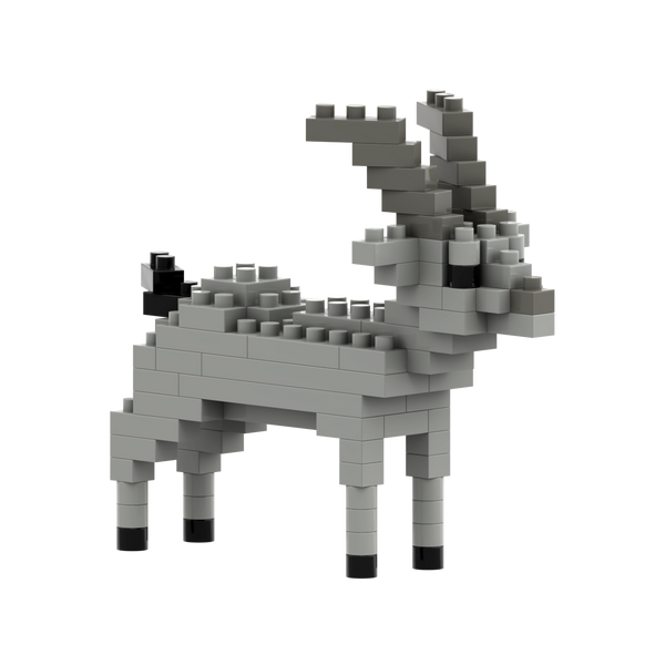 BRIXIES Ibex