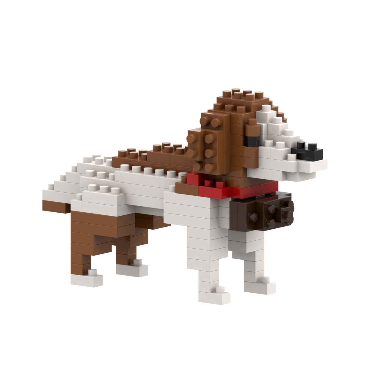 BRIXIES St. Bernard