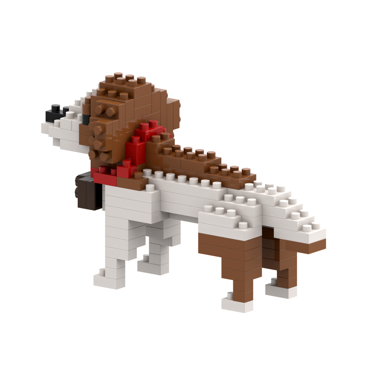BRIXIES St. Bernard