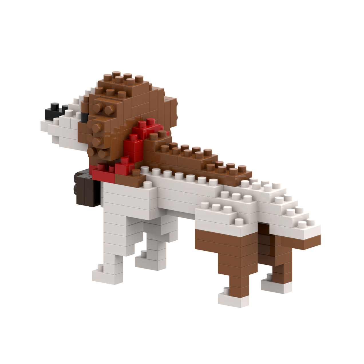 BRIXIES St. Bernard