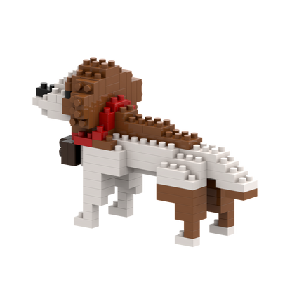 BRIXIES St. Bernard