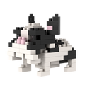 BRIXIES French Bulldog