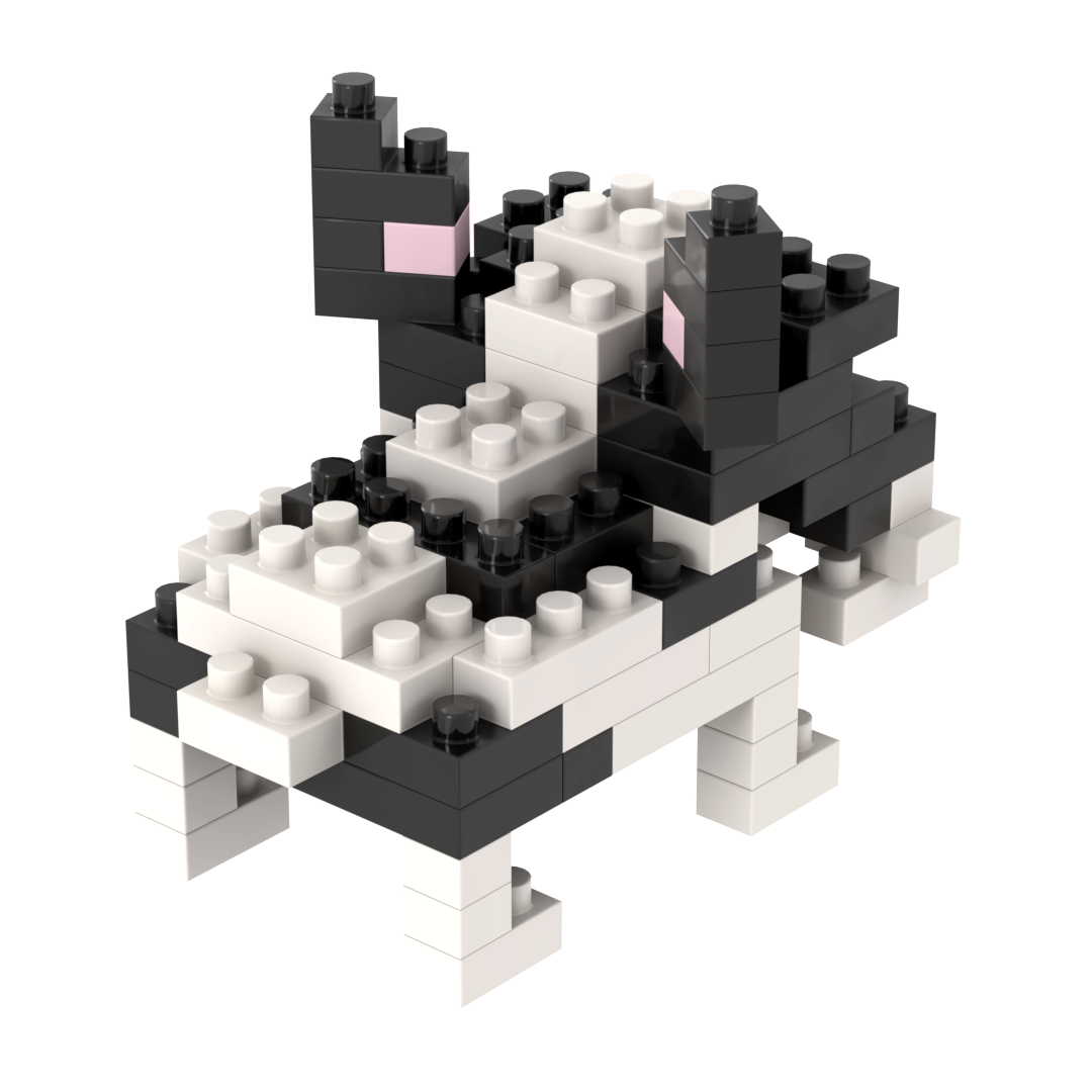 BRIXIES French Bulldog