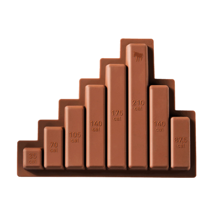 moule a chocolat donkey