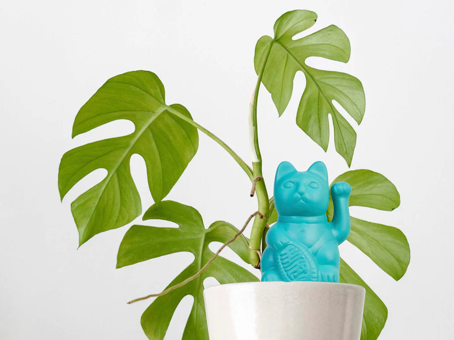 Standard Blue Cat Autonomous Squatting