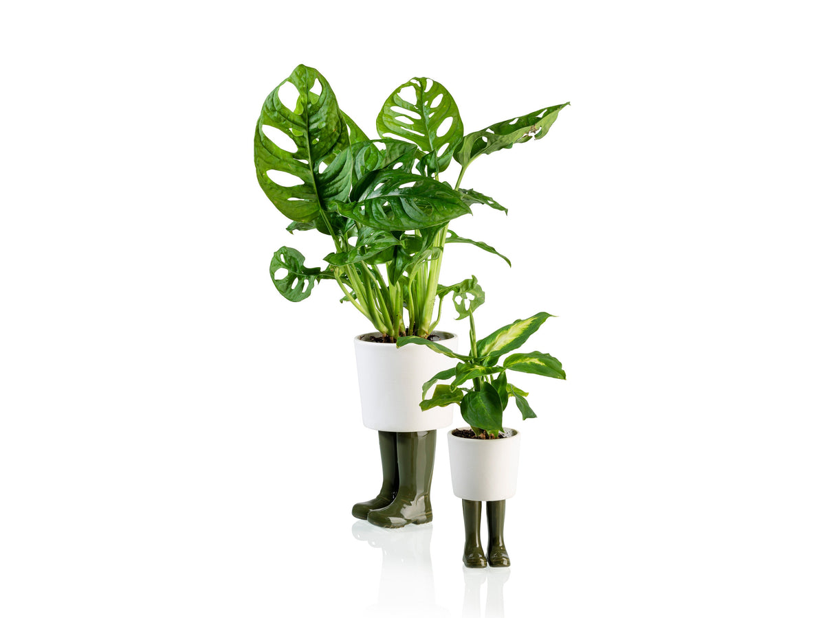 Pot de Fleur Bottes Wellington Vert – Petit