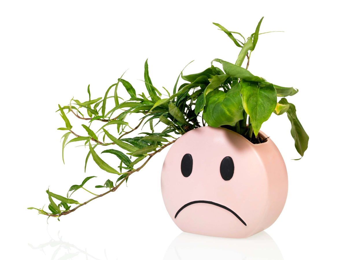 Mood Pot