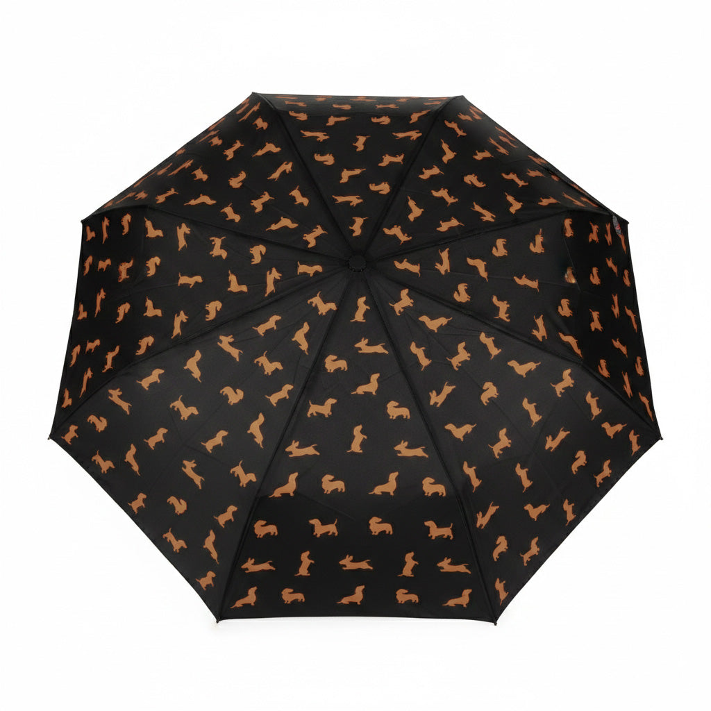 Dachshund Umbrella