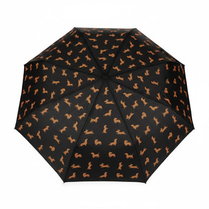 Dachshund Umbrella