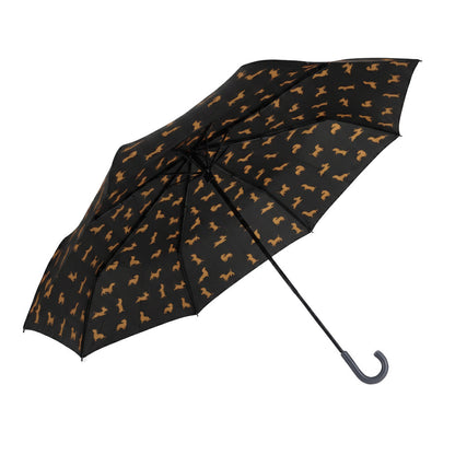 Dachshund Umbrella