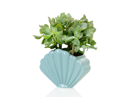 Pot de Fleur Coquillage Bleu – Grand