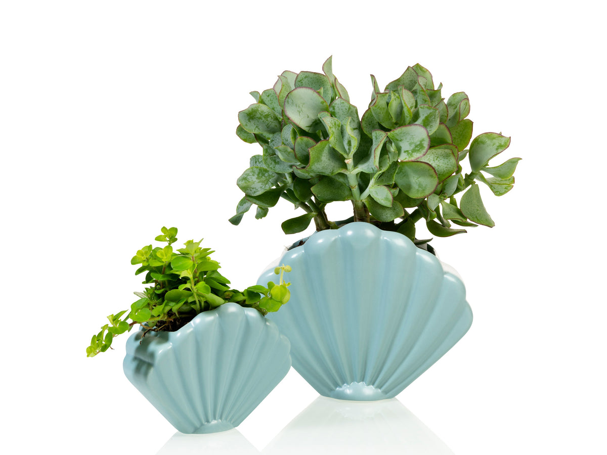 Pot de Fleur Coquillage Bleu – Grand