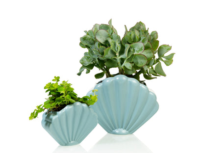Pot de Fleur Coquillage Bleu – Grand