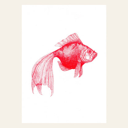 Goldfish Postcard