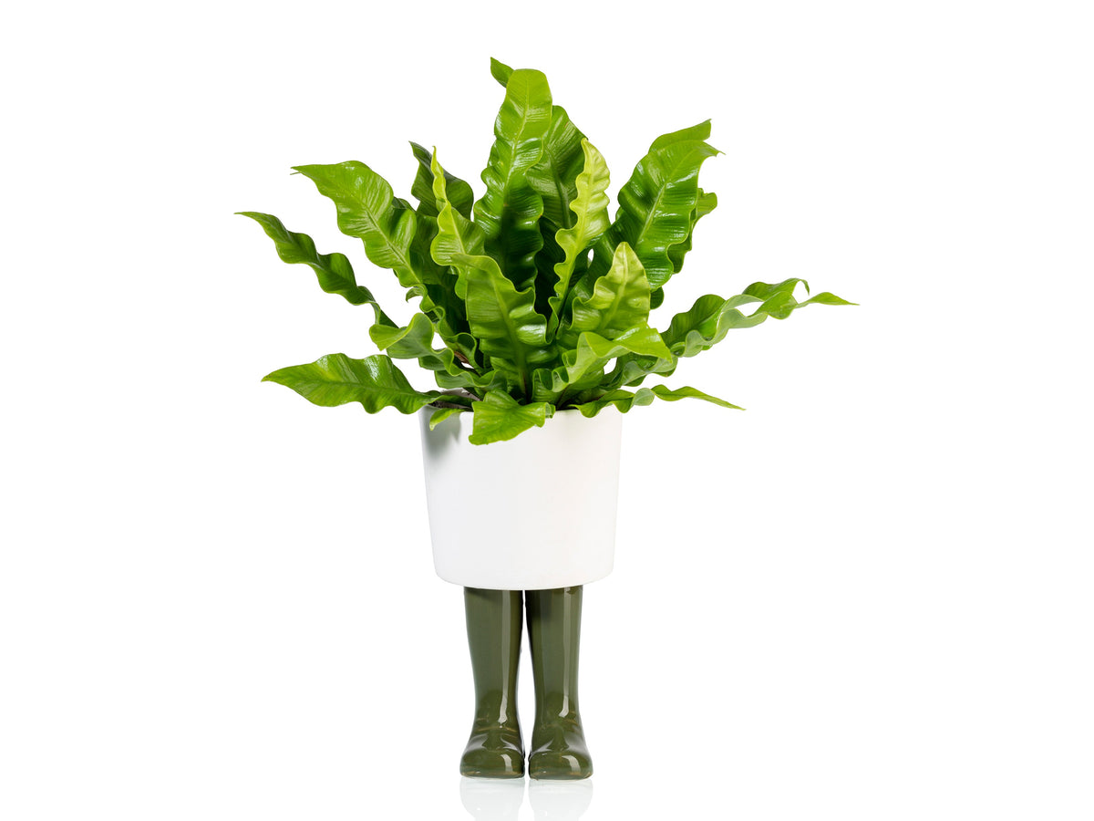 Pot de Fleur Bottes Wellington Vert – Grand