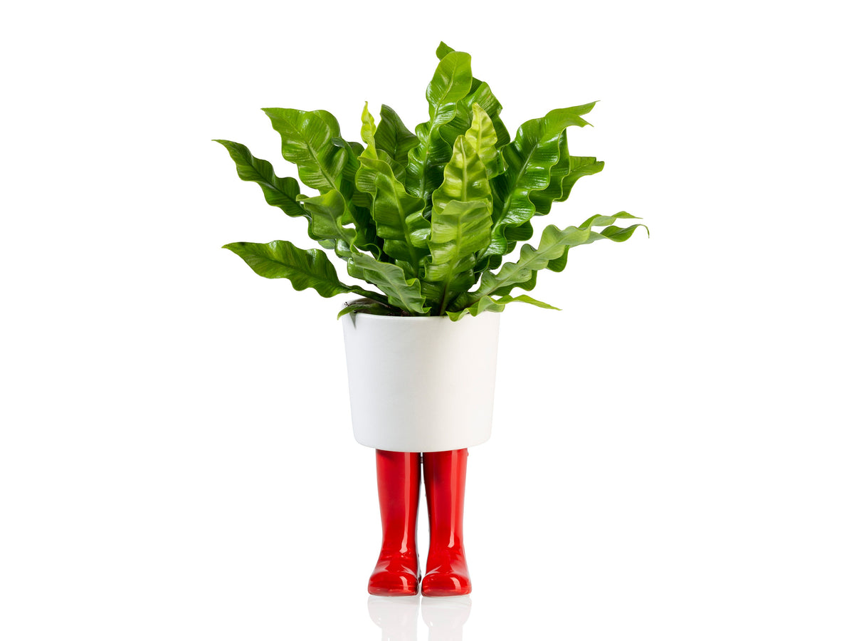 Pot de Fleur Bottes Wellington Rouge – Grand