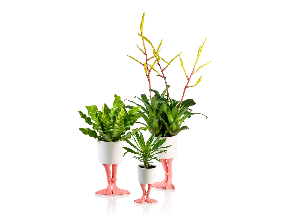 Pot de Fleur Pattes de Flamant Rose – Petit