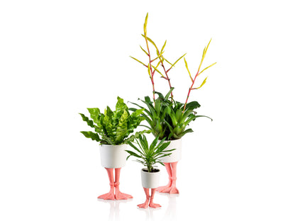 Pot de Fleur Pattes de Flamant Rose – Petit