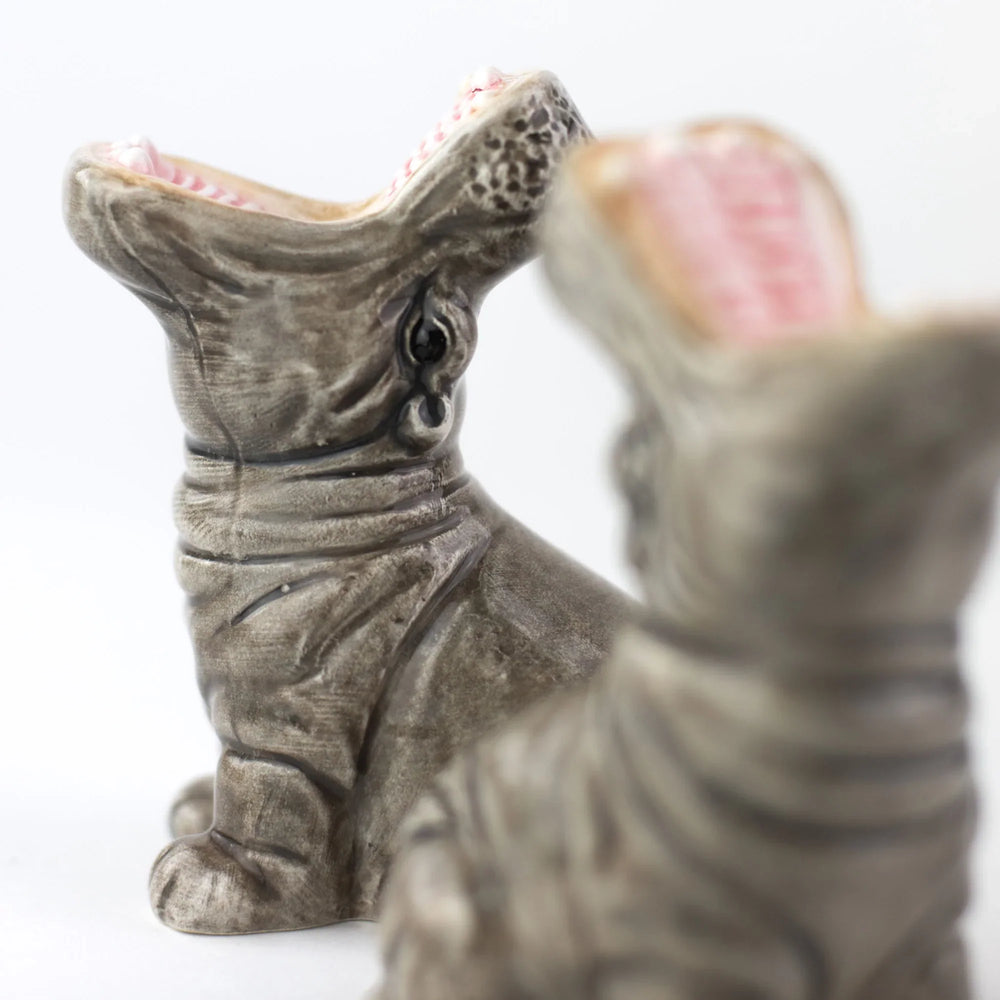 Salière et Poivrière Hippopotame Hungry Hippos