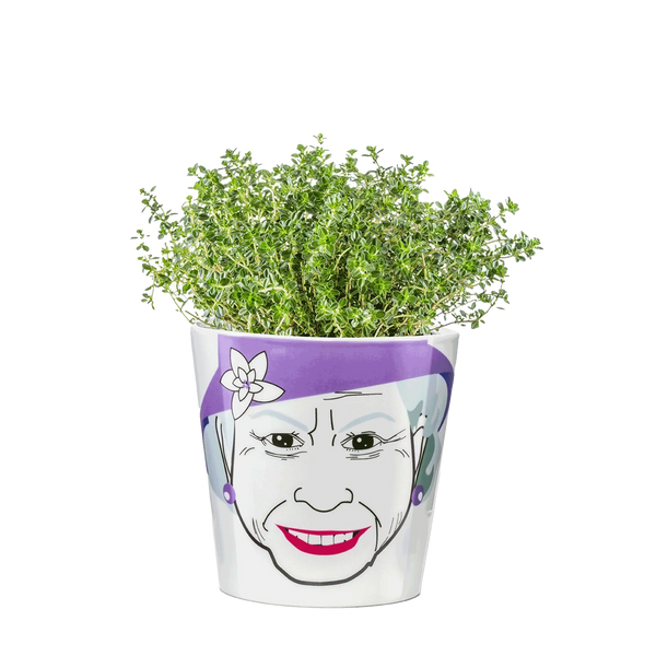 Koningin bloempot