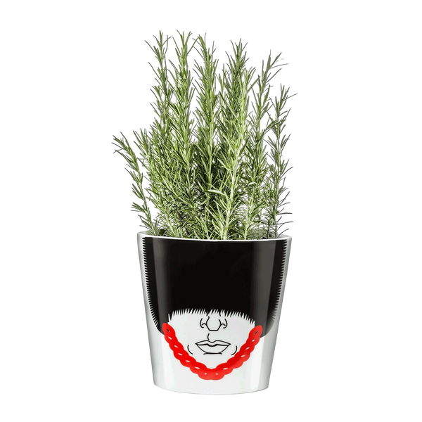 Bloempot van de Koninklijke Garde