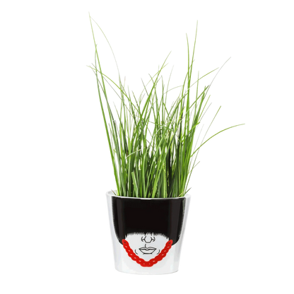 Bloempot van de Koninklijke Garde