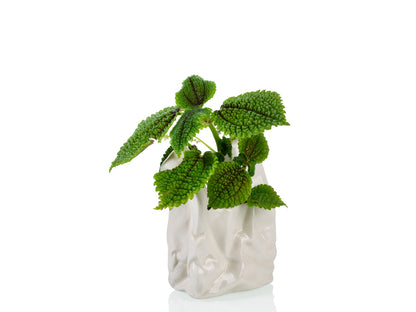 Pot de Fleur « Je ne Suis pas un Sac en Plastique ! » – Petit