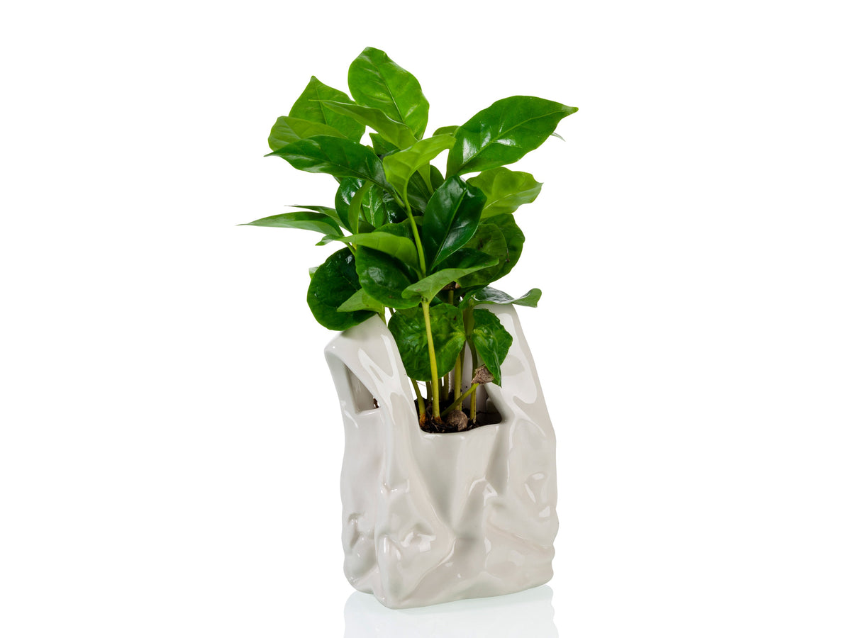 Pot de Fleur « Je ne Suis pas un Sac en Plastique ! » – Petit