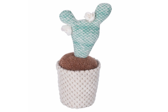 FABRIC CACTUS 6 ASST - 2188512