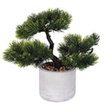 BONSAI PLANT H. 24 B - 2188537
