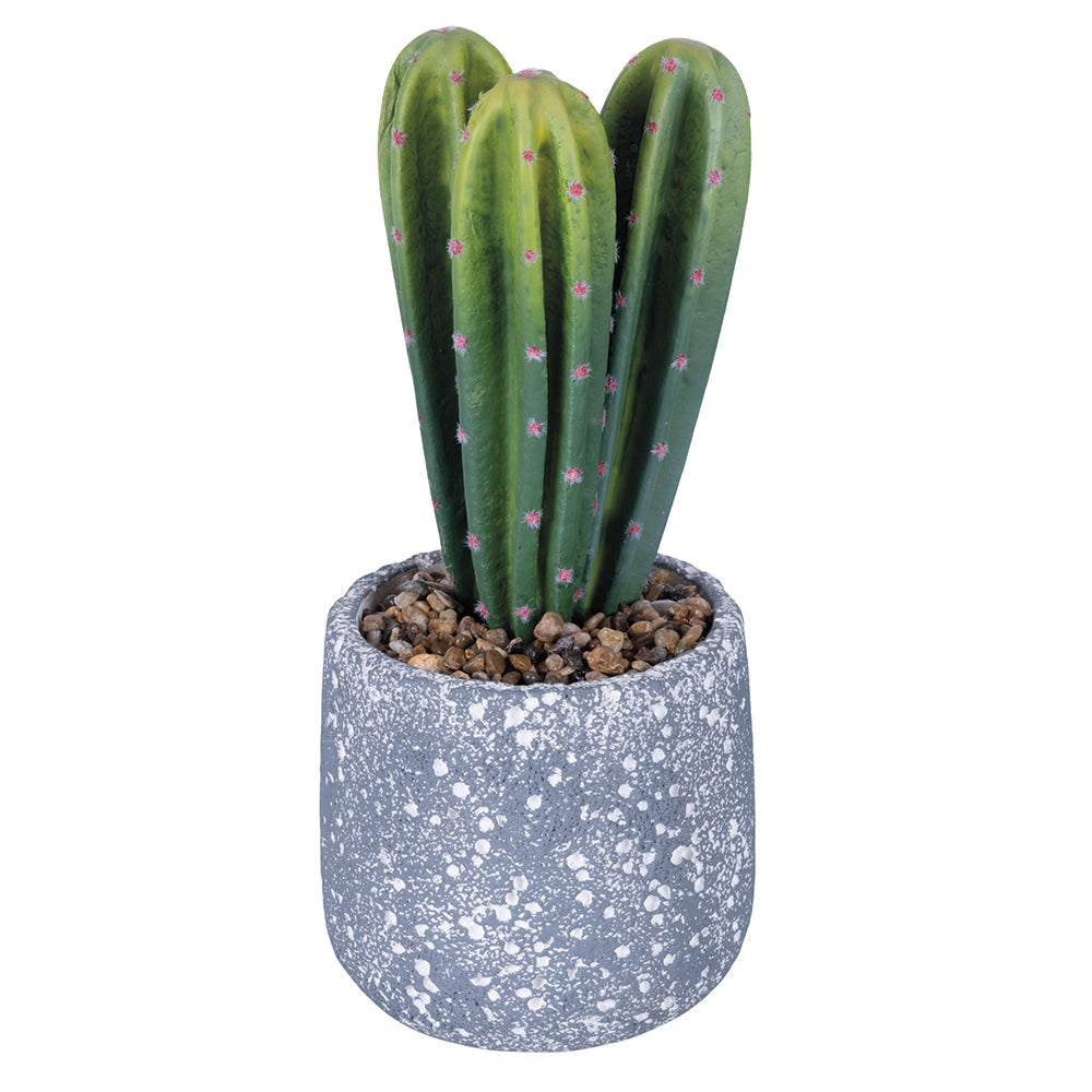 CACTUS PLANT H. 29.5CM - 2188539