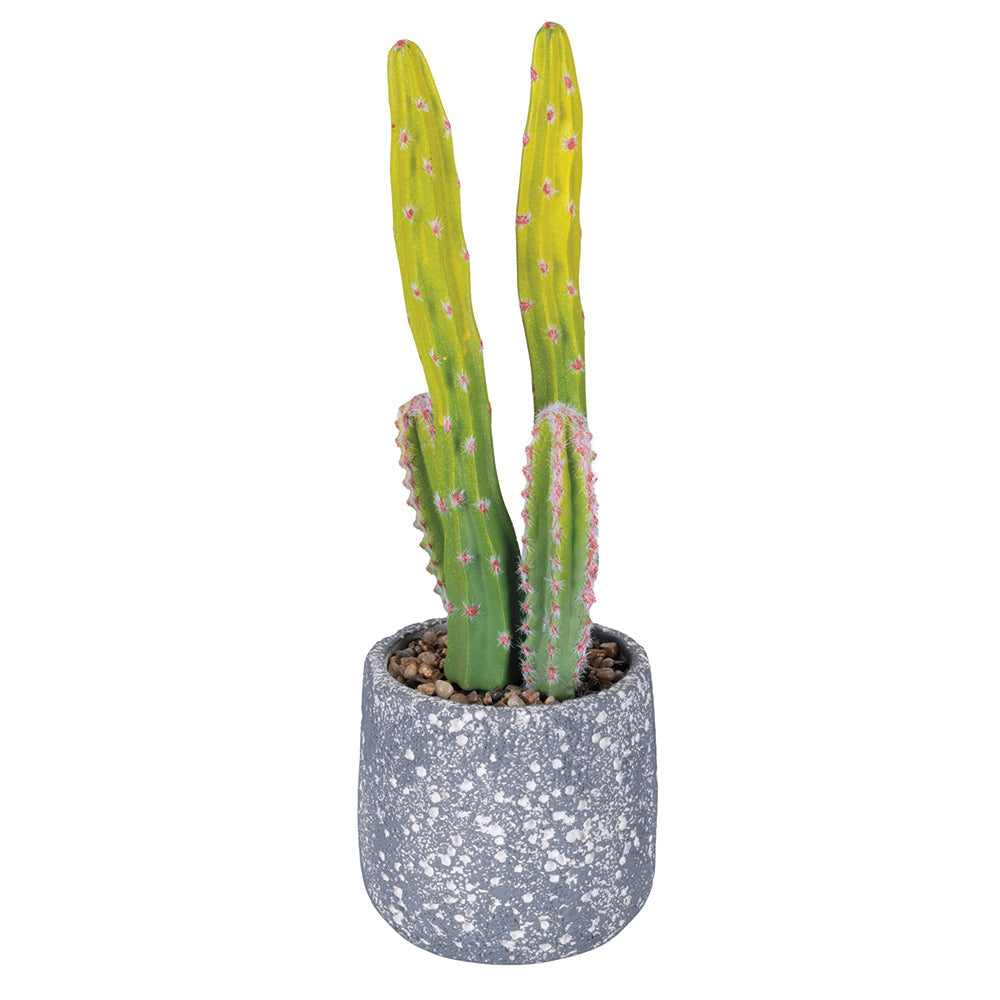 CACTUS PLANT H. 40.5CM - 2188540