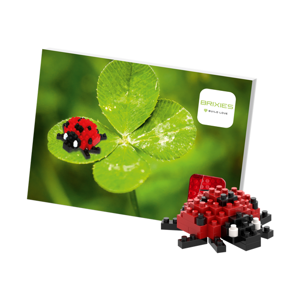 BRIXIES Postcard Ladybug