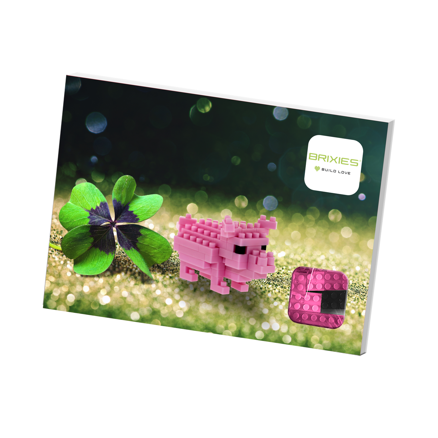 BRIXIES Postcard Lucky Pig