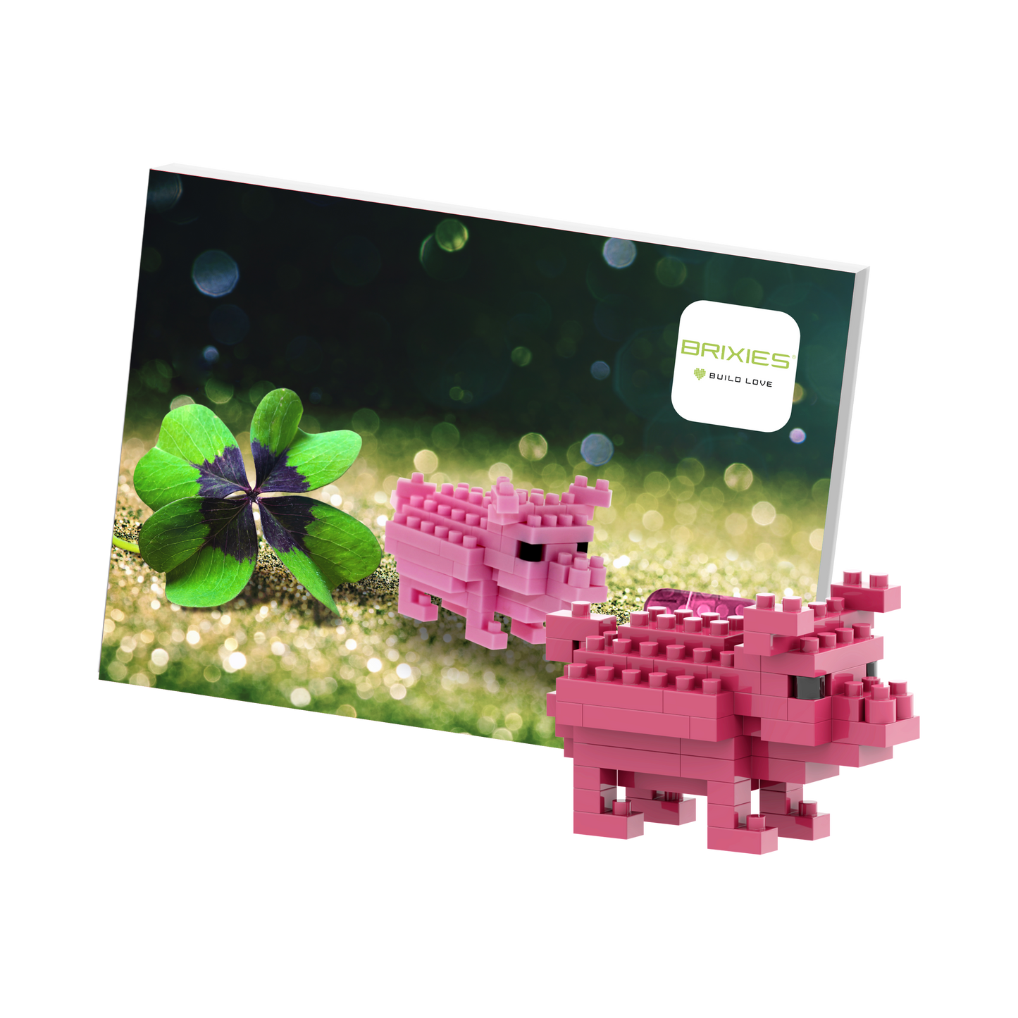 BRIXIES Postcard Lucky Pig