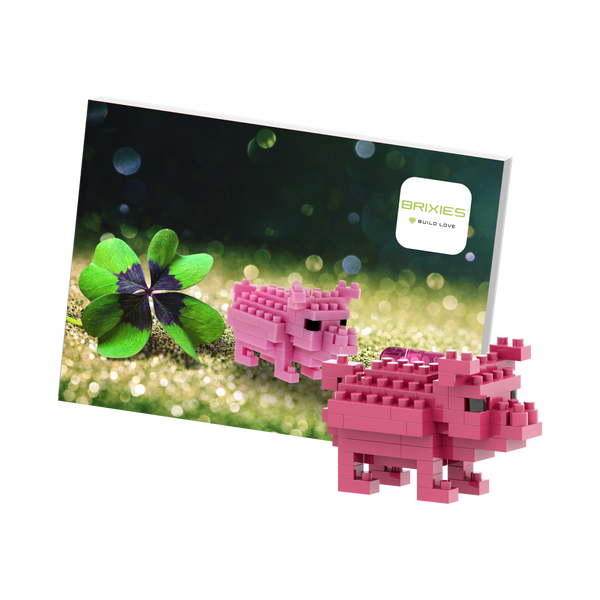 BRIXIES Postcard Lucky Pig