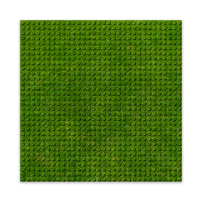 BRIXIES Plus Printed Baseplates with Custom Design White 32 x 32