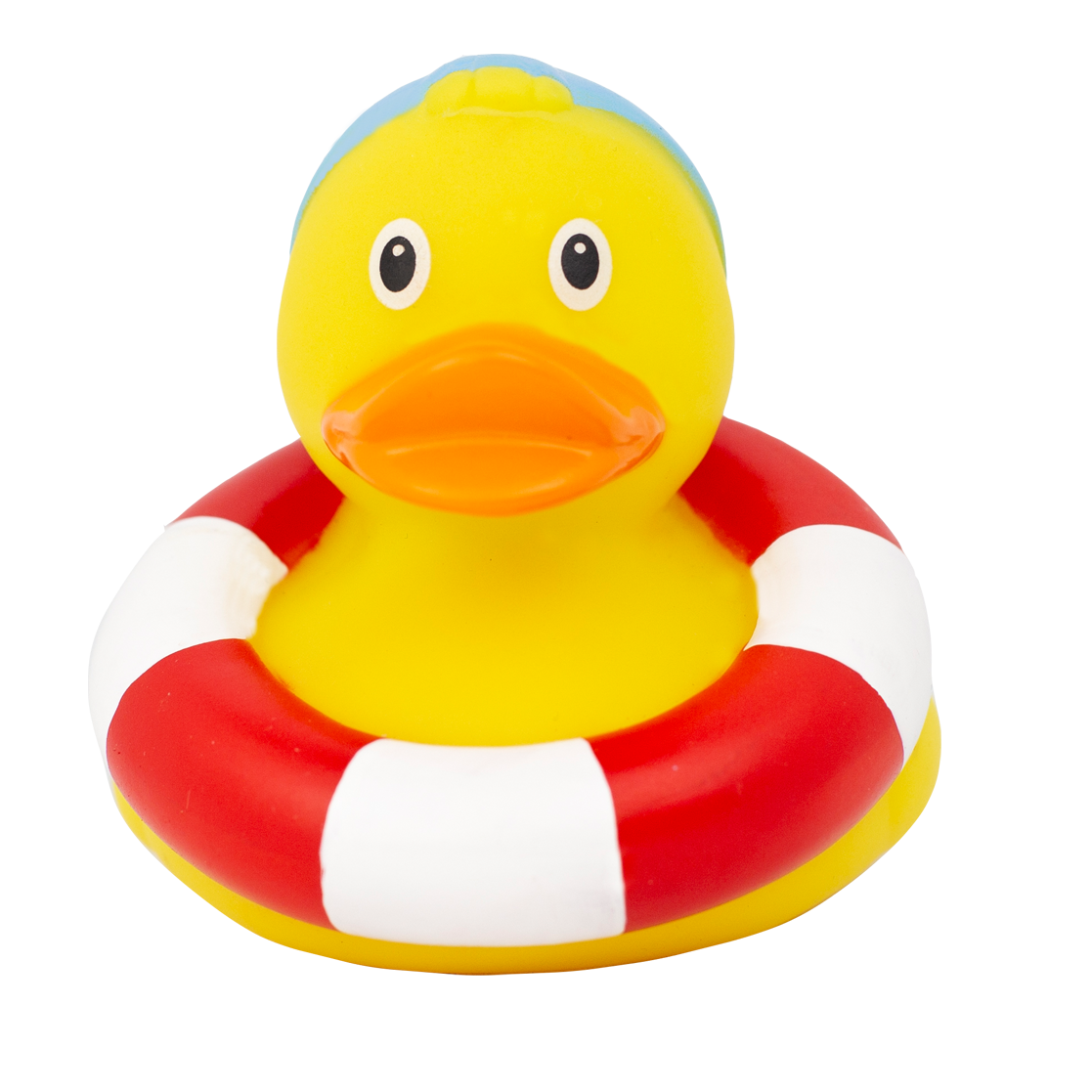 Swimming Duck
