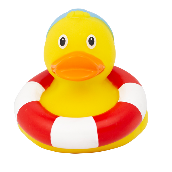 Swimming Duck