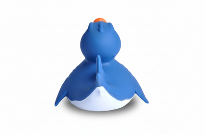 Shark duck