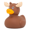 Canard Élan